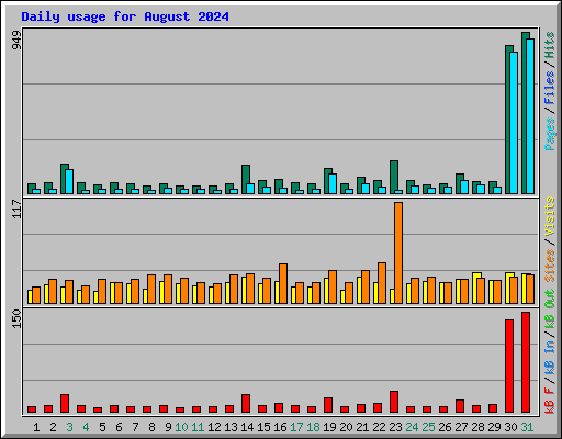 Daily usage for August 2024