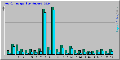 Hourly usage for August 2024